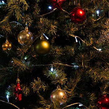 led гирлянда Uniel ULD-S0500-050/DTA White IP20 - пример использования