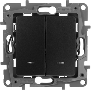выключатель 2-клавишный Legrand Etika 672604 - внешний вид
