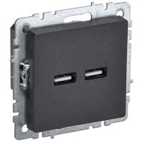 купить Брайт черный розетка USB A+A скрытая 2-ая  в Кирове Брайт черный розетка USB A+A скрытая 2-ая