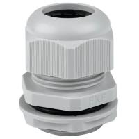 купить Сальник PG-29 18-25мм серый IP54 IEK 1шт в Кирове Сальник PG-29 18-25мм серый IP54 IEK 1шт