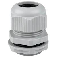 купить Сальник PG-25 16-21мм серый IP54 EKF  в Кирове Сальник PG-25 16-21мм серый IP54 EKF