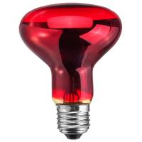 W:\img\_kriushina\07_03_2024_ken\754252.jpg W:\img\_kriushina\07_03_2024_ken\754252.jpg