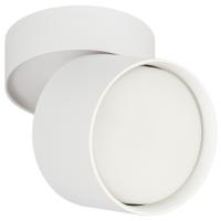 Светильник даунлайт 1*12Вт GX53 цилиндр белый накладной поворотный ЭРА 