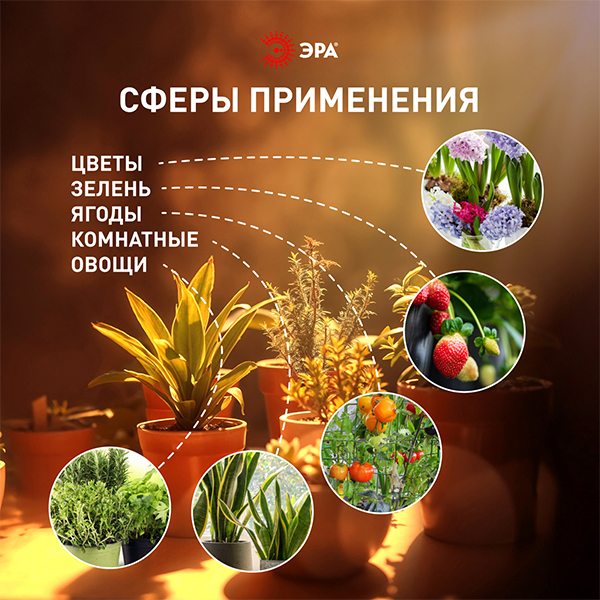 W:\img\_muraviev\22_04_2026_ken\dop\00-10049313_4.jpg