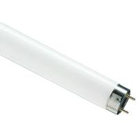купить Лампа люм G13 Т8 58Вт 6500К 5000лм Osram  в Кирове Лампа люм G13 Т8 58Вт 6500К 5000лм Osram