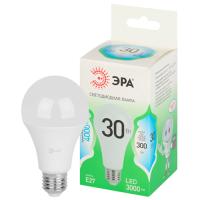 купить Лампа светодиодная 220В Е27 30Вт 4000К 3000лм стандарт A65 матовая ЭРА Green Line в Кирове Лампа светодиодная 220В Е27 30Вт 4000К 3000лм стандарт A65 матовая ЭРА Green Line