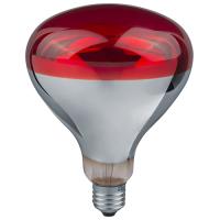 W:\img\_kriushina\07_03_2024_ken\754251.jpg W:\img\_kriushina\07_03_2024_ken\754251.jpg