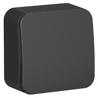 купить Бланка переключатель открытая антрацит 1кл 10А IP20  в Кирове Бланка переключатель открытая антрацит 1кл 10А IP20