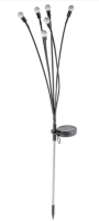 autoOBR_79