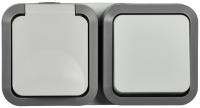 купить TORS Блок розетка + выключ. гор. 16А IP55 TS242 сер-бел IEK в Кирове TORS Блок розетка + выключ. гор. 16А IP55 TS242 сер-бел IEK