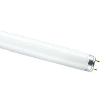 купить Лампа люм G13 Т8 36Вт 4000К 2850лм Osram  в Кирове Лампа люм G13 Т8 36Вт 4000К 2850лм Osram