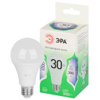купить Лампа светодиодная 220В Е27 30Вт 6500К 3000лм стандарт A65 матовая ЭРА Green Line в Кирове Лампа светодиодная 220В Е27 30Вт 6500К 3000лм стандарт A65 матовая ЭРА Green Line