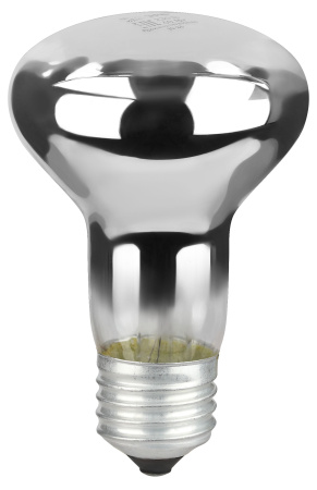 купить Лампа R63 накал Е27 60Вт 450лм ЭРА в Кирове Лампа R63 накал Е27 60Вт 450лм ЭРА