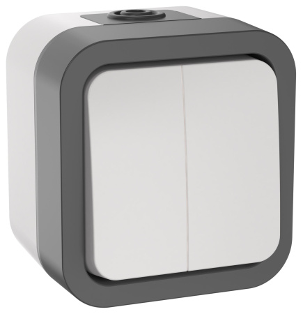 TORS Выключатель двухклавишный 10А IP55 TS205 сер-бел IEK