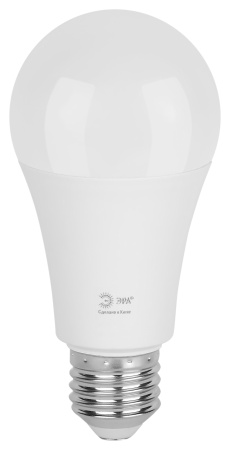 купить Лампа светодиодная 220В Е27 25Вт 6500К 2500лм стандарт A60 матовая ЭРА Green Line в Кирове Лампа светодиодная 220В Е27 25Вт 6500К 2500лм стандарт A60 матовая ЭРА Green Line