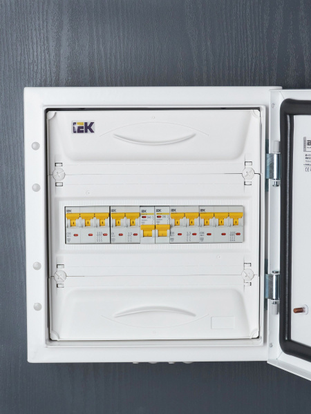 Автомат 2Р 6А C 6кА ВА47-60М IEK 